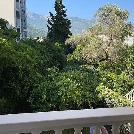 Alexander Apartment Budva
